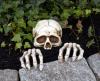 Skele-Peeper Grave Breaker