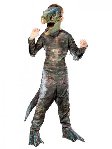 Dinosuar Costume