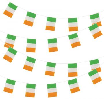 Ireland Bunting -20 Flags 31 x 20cm - 10m Length