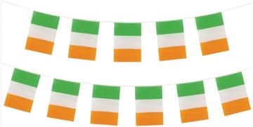 Ireland Bunting - 11 Flags 31 x 20cm - 4m Length