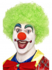Crazy Clown Wig - Green
