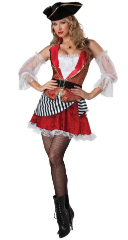 Pretty Pirate Costume