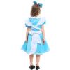Alice Costume - Kids