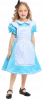 Alice in Wonderland Costume