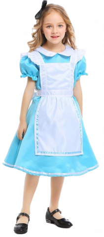Alice in Wonderland Costume