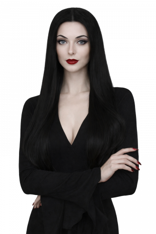 Ladies Long Black Wig