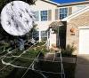 Outdoor Spider Web