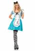 Wonderland Classic Alice Costume