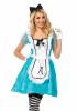Wonderland Classic Alice Costume