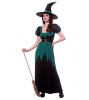 Ladies Emerald Witch Costume