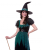 Ladies Emerald Witch Costume