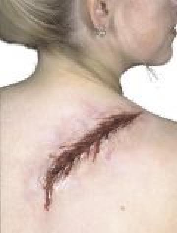 Special Effects - Back Lash