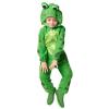 Kids Frog Onesie