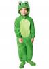 Tween Frog Onesie