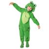 Tween Frog Onesie