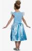 Back view of Cinderella Costume