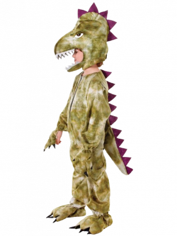 Kids Dinosaur Costume