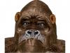 Big Kong Mask