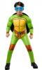 tmnt full costume
