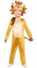 Adorable Lion Costume