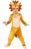 Adorable Lion Fancy Dress