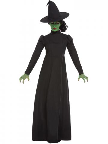 Wicked Witch Costume - Ladies