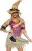 Sinister Scarecrow  Costume