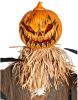 Pumpkin Scarecrow