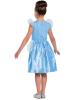 Disney Cinderella Costume
