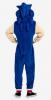 Back of Sonic Onesie