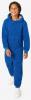 cookie monster costume