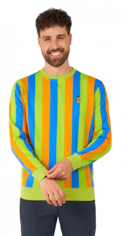 Sesame Street Bert Sweater - Adult