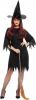 Spooky Witch Costume