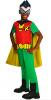 Robin Costume