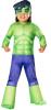 Spidey and His Amazing Friends - Hulk Costume