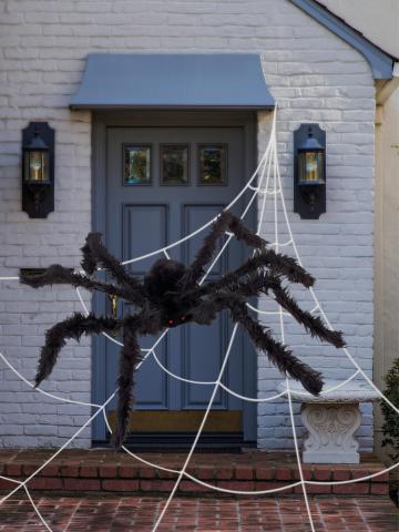 Giant Spider & 1.2M Web