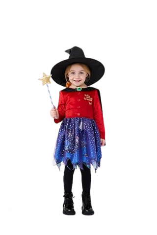 Room on The Broom Costume