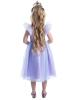 Back View Fairy Princess Costume