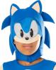 Sonic The Hedgehog Costume