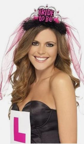 Bride to Be Tiara and Veil