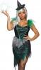 Wicked Witch Costume