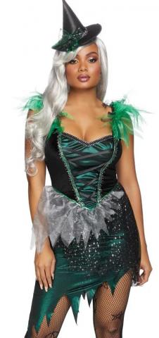 Wicked Witch Costume