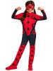 Miraculous Ladybird Costume