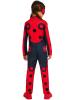 Miraculous Ladybird Costume