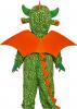 Baby Dragon Costume back