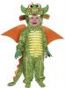 Baby Dragon Costume