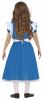 Blue Little Girl Costume