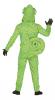 Chameleon Costume