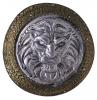 Lion Shield & Sword