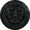 Roman Shield